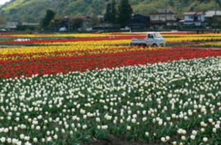 10分スポット、　