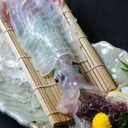 呼子より直送！身は透き通る透明感！ゲソは天婦羅、塩焼き、刺身からお選びいただけます！