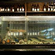 仲買業者としての経験が長い社長が仕入れてくるアジやイカなどの魚貝類を店内の生け簀に泳がせ、注文を受けてから取りだして調理しています。天然の甘みや歯応えが味わえる、鮮度抜群の海鮮料理をお楽しみ下さい。