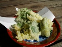 地元の採れたて野菜、旬の野菜、キノコなどの天ぷら盛合せ。仕入れにより内容は変わるのでお楽しみに。