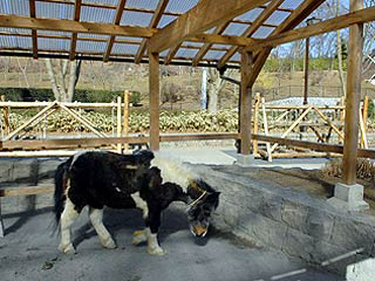 「夕やけ小やけ」 園内は有料となります