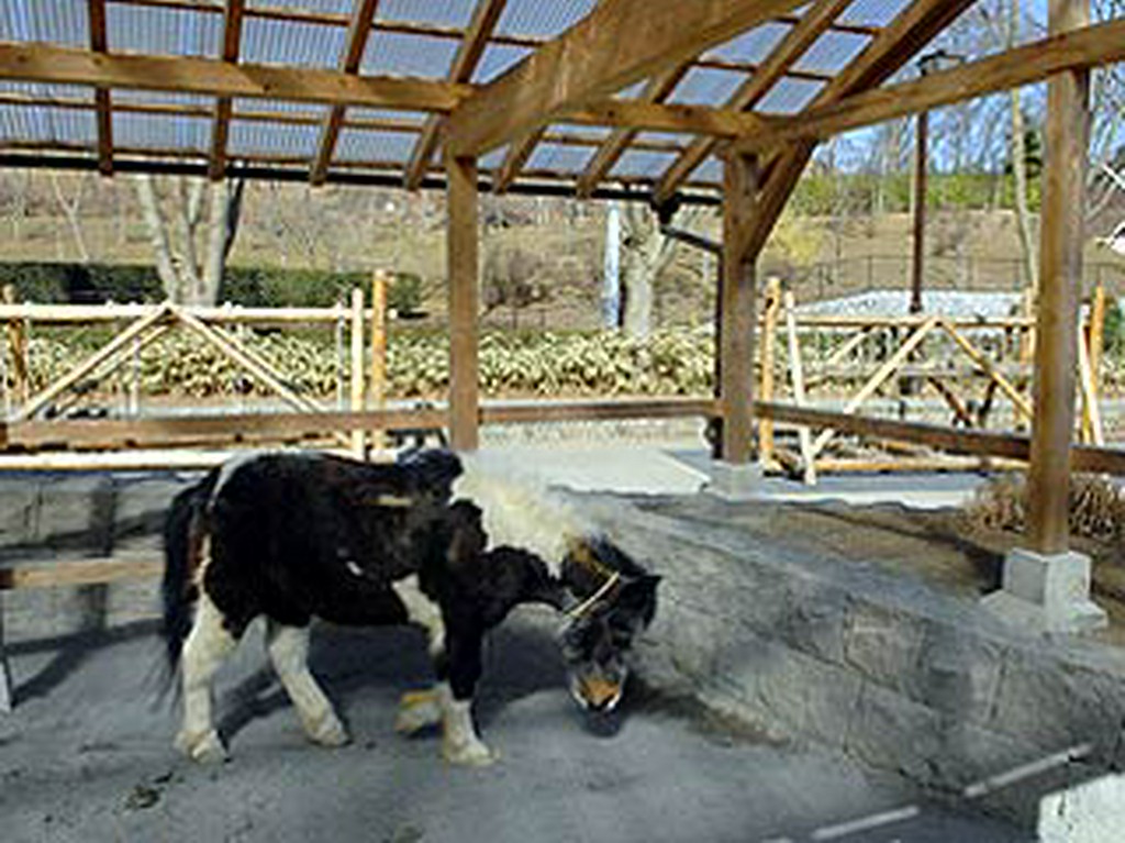 「夕やけ小やけ」　園内は有料となります