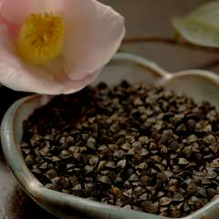 北海道産『玄そば』の実と