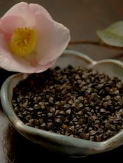 Shakujiinosobamarushima