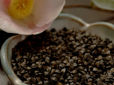 北海道産『玄そば』の実と