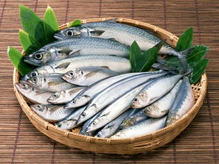 長崎近海の鮮魚をメインに季節に応じた旬の味を提供