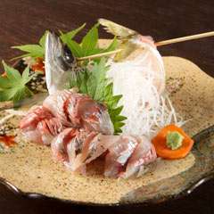 山陰浜田のブランド［どんちっちあじの刺身］