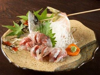 山陰浜田のブランド［どんちっちあじの刺身］