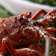 ※人数により大きな海老を使います