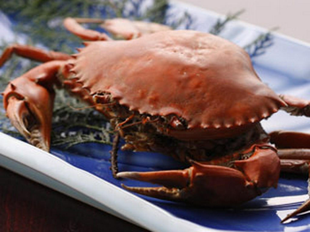 エガニの塩ゆで