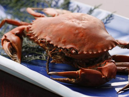 エガニの塩ゆで