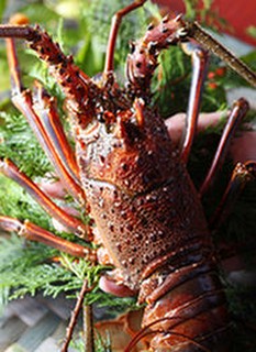 １、伊勢海老おすすめコース（当日でも注文出来るコース）