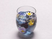 バタライピーの花でつくられた瑠璃色のゼリーが印象的なフラワーベリーヌは、エディブルフラワーとハイビスカスのムースが浮かぶ華やかなグラススイーツです。2種類のベリーのアクセントと共にお楽しみください。
