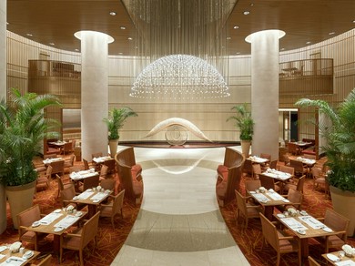 東京と世界が出会う場所