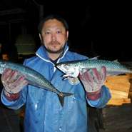 島野浦で1月ごろ獲れるサバは「寒サバ」と呼ばれ、丸々と太って肉厚で脂ものっています。しかも「今朝獲れ便」では、朝獲れた魚がその日のうちに東京の店舗に届くので、新鮮な「刺身」で提供することができます。 