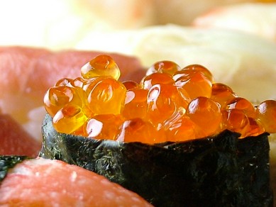 山口県でコースメニューがある鮨 寿司レストラン ヒトサラ 山口県でコースメニューがある鮨 寿司レストラン ヒトサラ