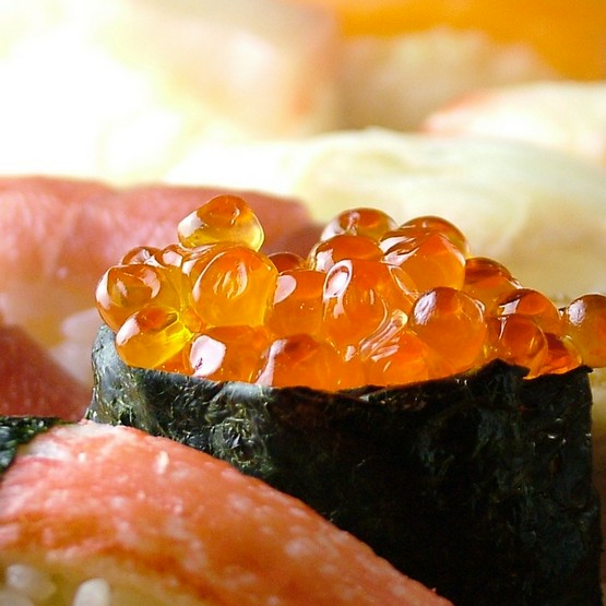 寿司居酒屋 や台ずし 笠岡駅前町 井原 笠岡 浅口 居酒屋 のグルメ情報 ヒトサラ