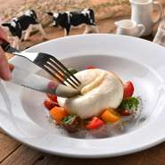 自家製ブッラータ～生モッツァレラチーズ～