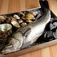 魚介類は、本店と同じルートのものを使用。師崎港からそのまま柳橋市場へ到着する食材を中心に、新鮮な地の魚介は毎朝シェフの目利きで選ばれます。