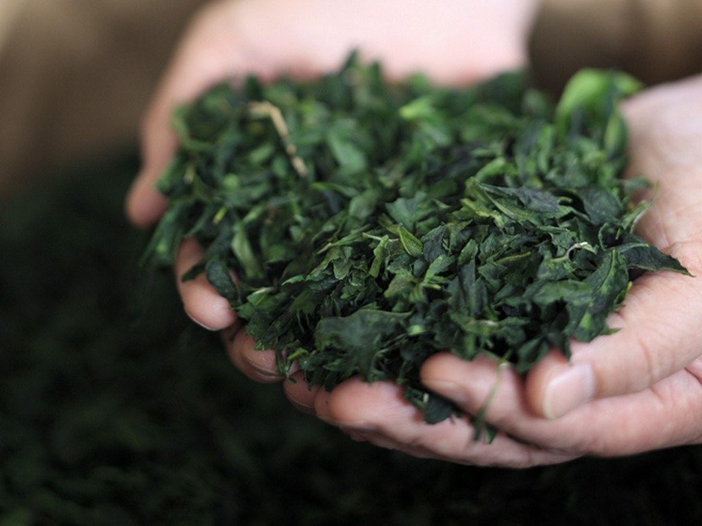 京都・宇治をはじめとする厳選された宇治茶をふんだんに使用