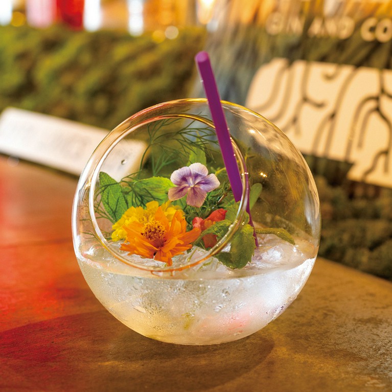 クラフトジンな女子会はいかがでしょう！？