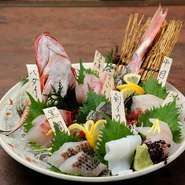その日の朝に仕入れた魚の中から贅沢に7種類も盛った『産地直送盛り合わせ』は、絶対に食べたい、お店の人気ナンバーワンメニューです。白身を中心に魚の姿盛りも！鮮度はもちろん、豪華な見た目も好評です。