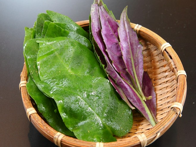 食材にこだわっている