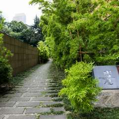 竹林に囲まれた雅やかな佇まい