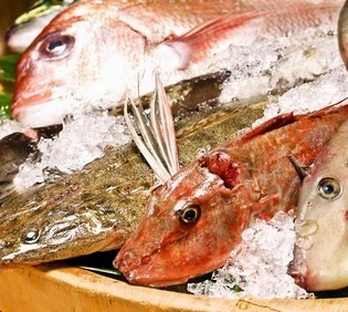 季節ごとに、その時々に美味しい魚をいろいろな料理でお届け