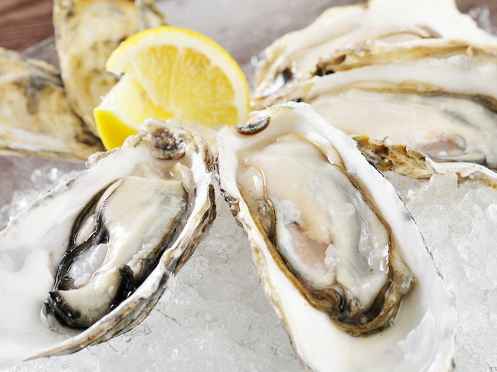 とれたての牡蠣が使われているので、鮮度の良さ抜群