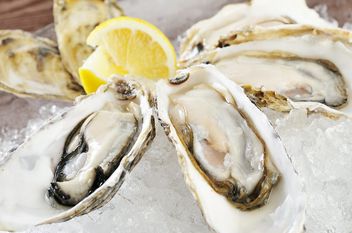 Kinkawooka Grill & Oyster Bar Yokohama Bay Quarter branch