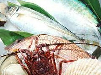 【ゆずほのか】の魚介は毎日入荷する産地直送の新鮮魚介!