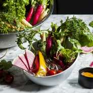 Fresh Vegetable sticks - Sea Urchin Mayonnaise