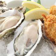 本日のおすすめ真牡蠣（2ピース）／広島県産！大粒牡蠣フライ（2ピース）／グリルオイスター（２ピース）と、牡蠣の美味しさを満喫できる一皿。