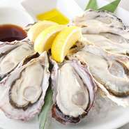 上質な牡蠣を、季節ごとに色々な地域から入荷しています。その時々の味わいの違いも楽しめるので、牡蠣好きにはたまらりません！　※価格は季節によって変動いたします。