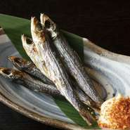 鹿児島の天日で干したがらんつは香ばしさと苦味で焼酎に合う逸品。お湯割りに入れて骨酒にしても◎です。　
【価格】480円