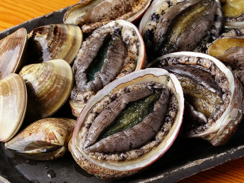 めったにお目にかかれない大きな天然黒鮑