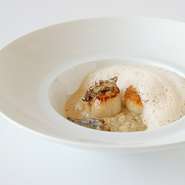 季節のスペシャルランチ
アミューズ、魚料理または肉料理、デザート、食後のお飲み物