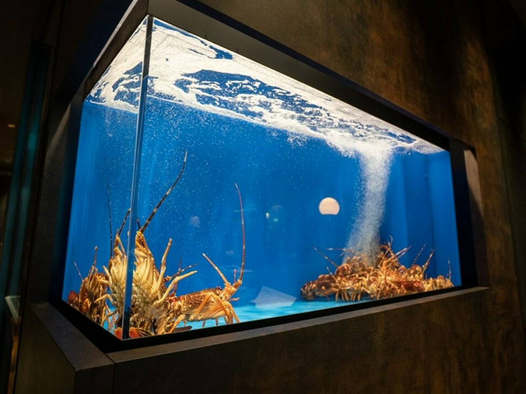 水槽の活き活きとしたイセエビたちの姿