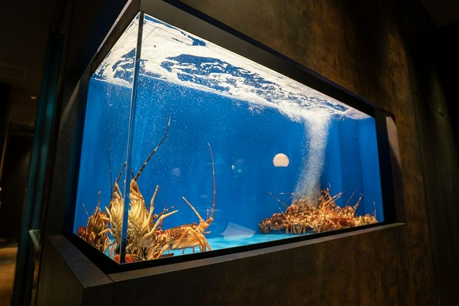 食材にこだわっている