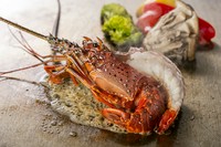Grilled Japanese Lobste