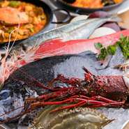 長浜の「鮮魚」に、とれたての「糸島野菜」などの地元の食材。そこに「イベリコ豚」をはじめとした本場の食材が加わることで、博多ならではのスパニッシュスタイルが生まれます。