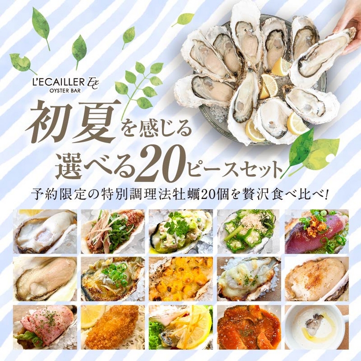 Choose from a selection of 20-piece sets [Standard] 6 different cooking methods to compare