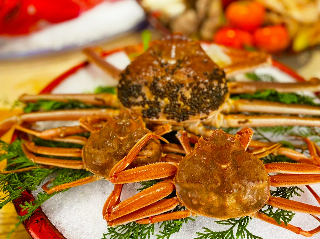 松葉蟹特別コース