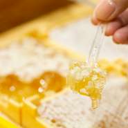 明るい雰囲気の店内には、選ぶのが迷ってしまうほど種類豊富な蜂蜜が並んでいます。自慢の「巣房蜜」は、試食が可能。蜜の美味しさを断片を、自分の舌で味わってみてください。