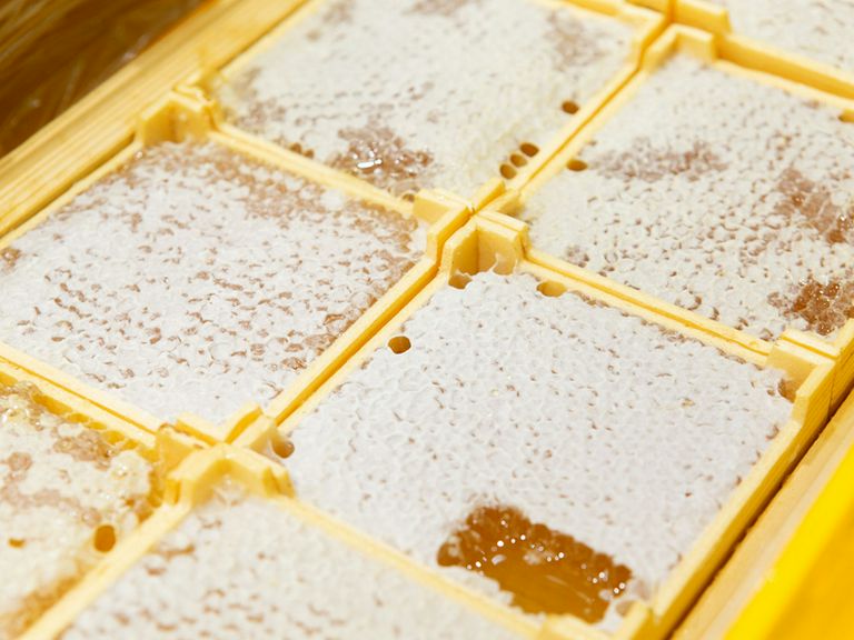 純粋完熟蜂蜜をご堪能いただける『巣房蜜』