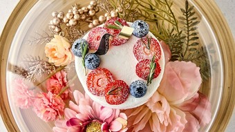 記念日カフェディナー～ファシーノ特製～　バースデーケーキ