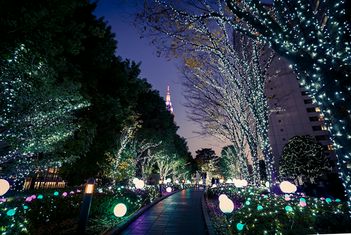 Petit Delirium Tap Café