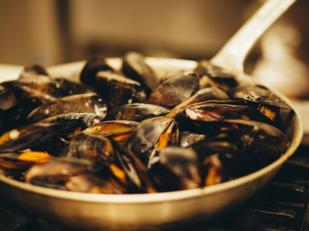 コースのラインアップが充実