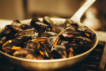 BUTCHER REPUBLIC 品川 CHICAGO PIZZA & BBQ STEAK